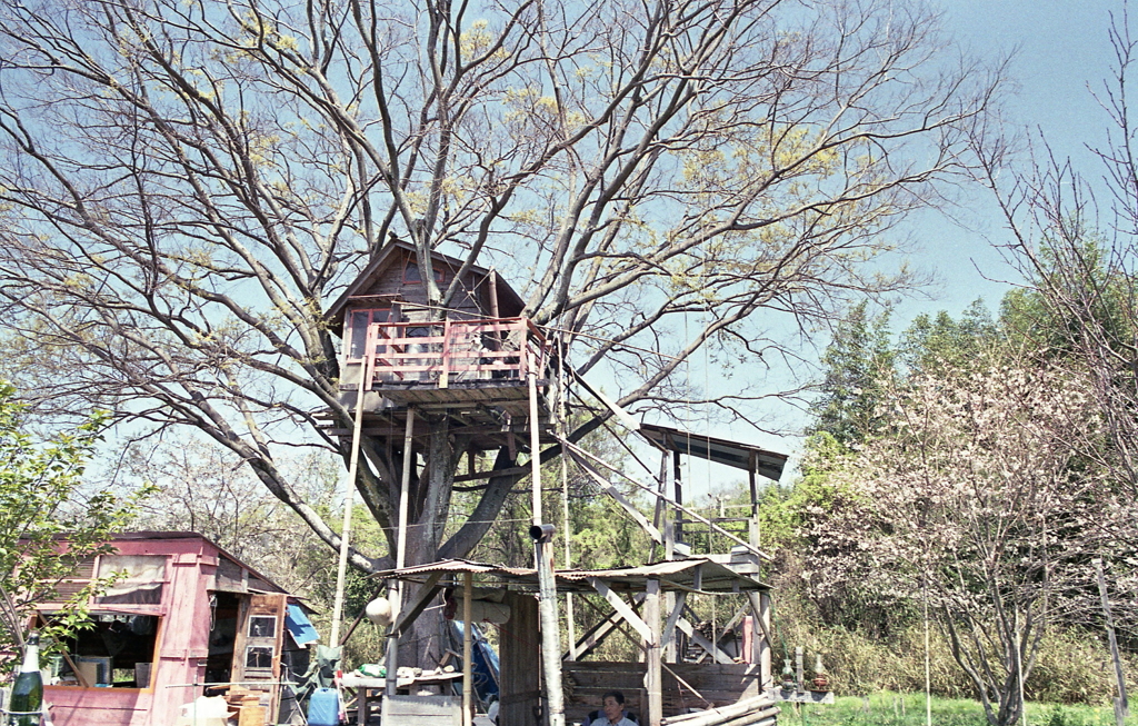 虫だめなんですけど、ムカデとか…（苦笑