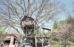 虫だめなんですけど、ムカデとか…（苦笑