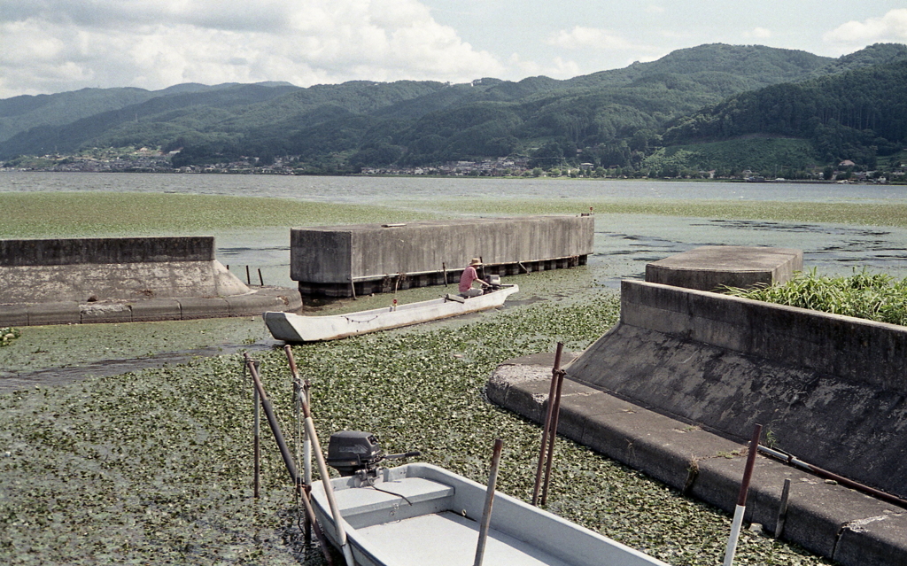 水草をかき分けていざ出向！