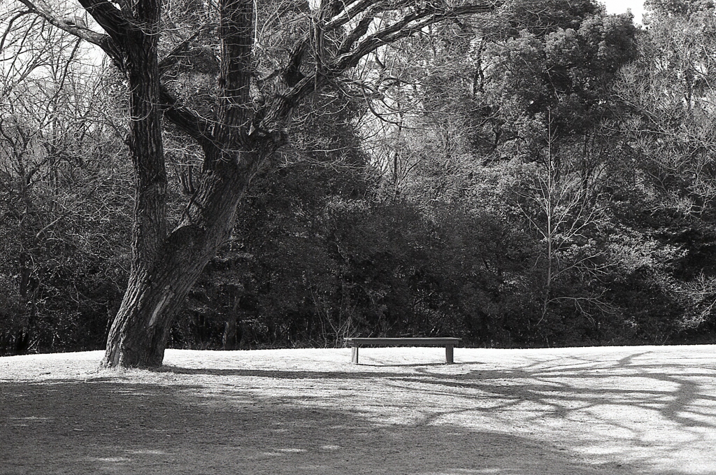 ２月のＡー１monochrome