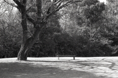 ２月のＡー１monochrome