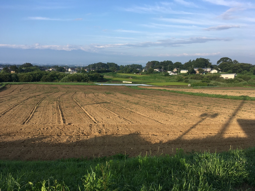 百姓は嫌いだかこの大地を見ていると…