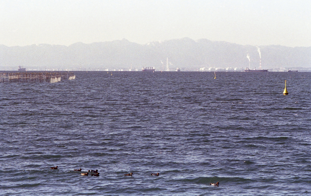 海を見ていた午後、ソーダ水じゃないけど…