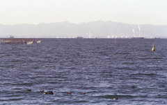 海を見ていた午後、ソーダ水じゃないけど…