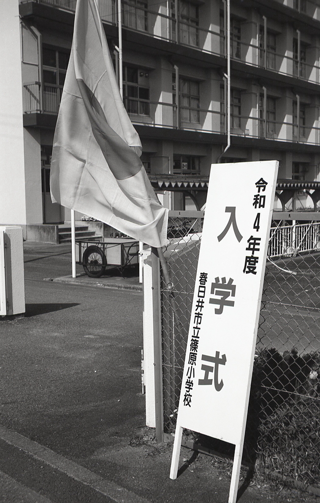 今日は入学式だったのですね。