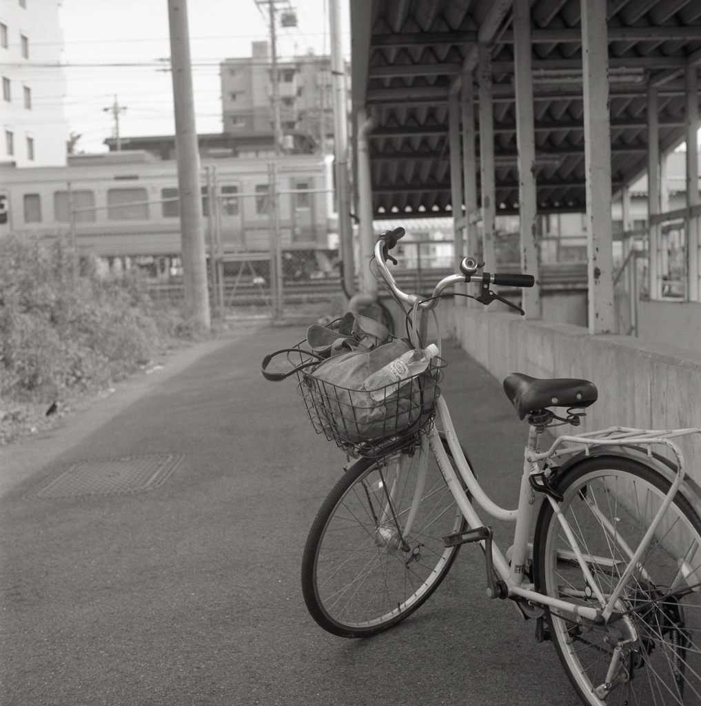 自転車に乗って…