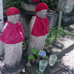 地蔵の紫陽花 地蔵の紫陽花