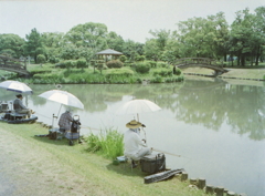 長閑な釣り風景