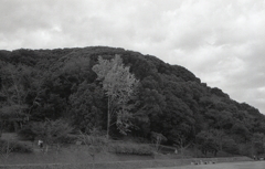 嘗て城があったという小牧山