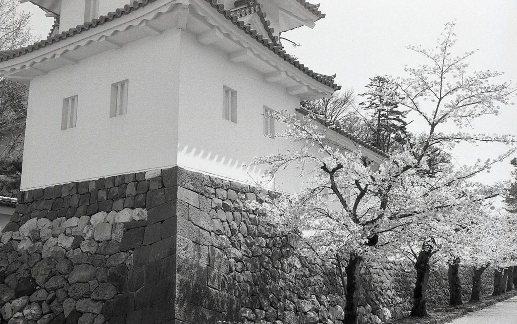大垣城の春景色