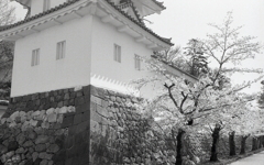 大垣城の春景色