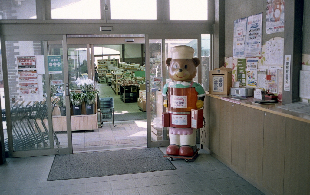 綿菓子クマさん