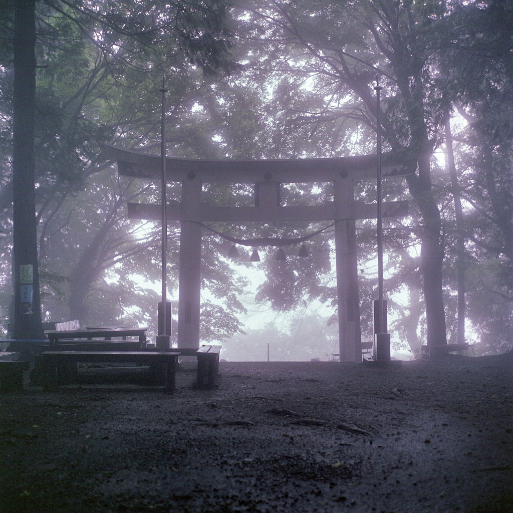 霞む鳥居
