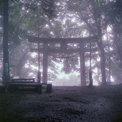 霞む鳥居