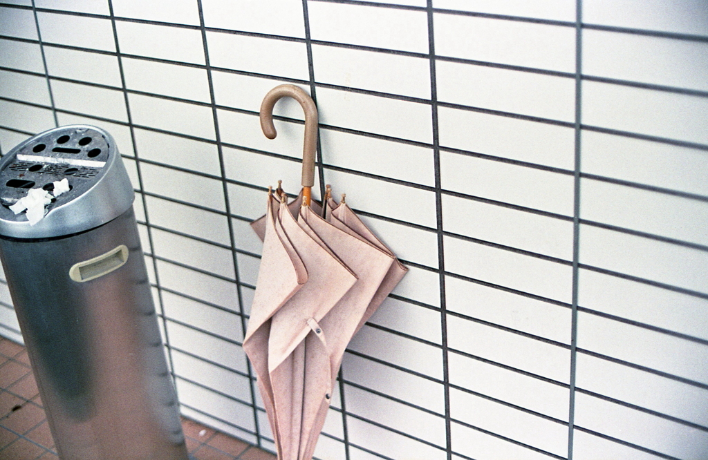 北佐久の雨散歩