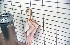 北佐久の雨散歩