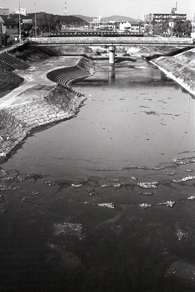 お散歩風景で内津川