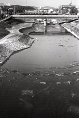 お散歩風景で内津川
