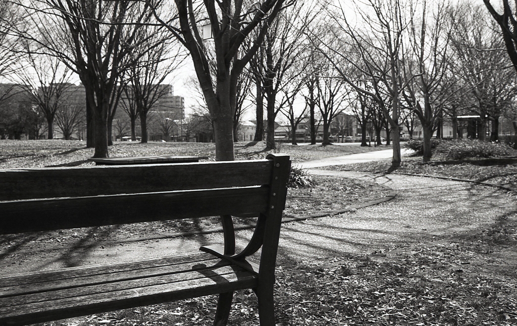 ベンチだけで数ショットとは…（苦笑