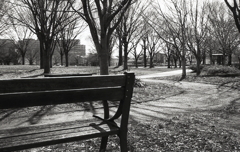 ベンチだけで数ショットとは…（苦笑