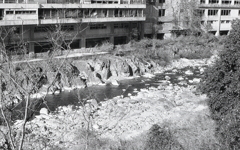 廃墟「千歳楼」と玉野川風景