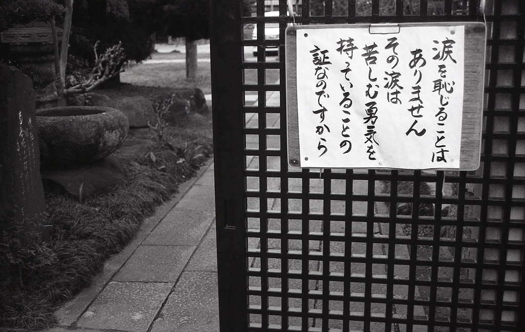 涙を恥じることはありません。