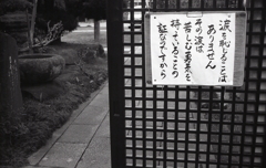 涙を恥じることはありません。