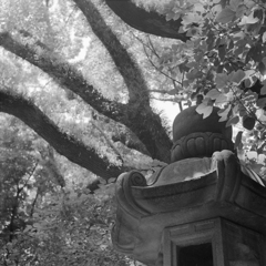 大きな々石灯籠