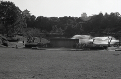 初冬の名城公園　～２０２０年１１月撮影