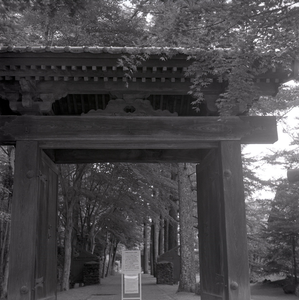 記念館への道