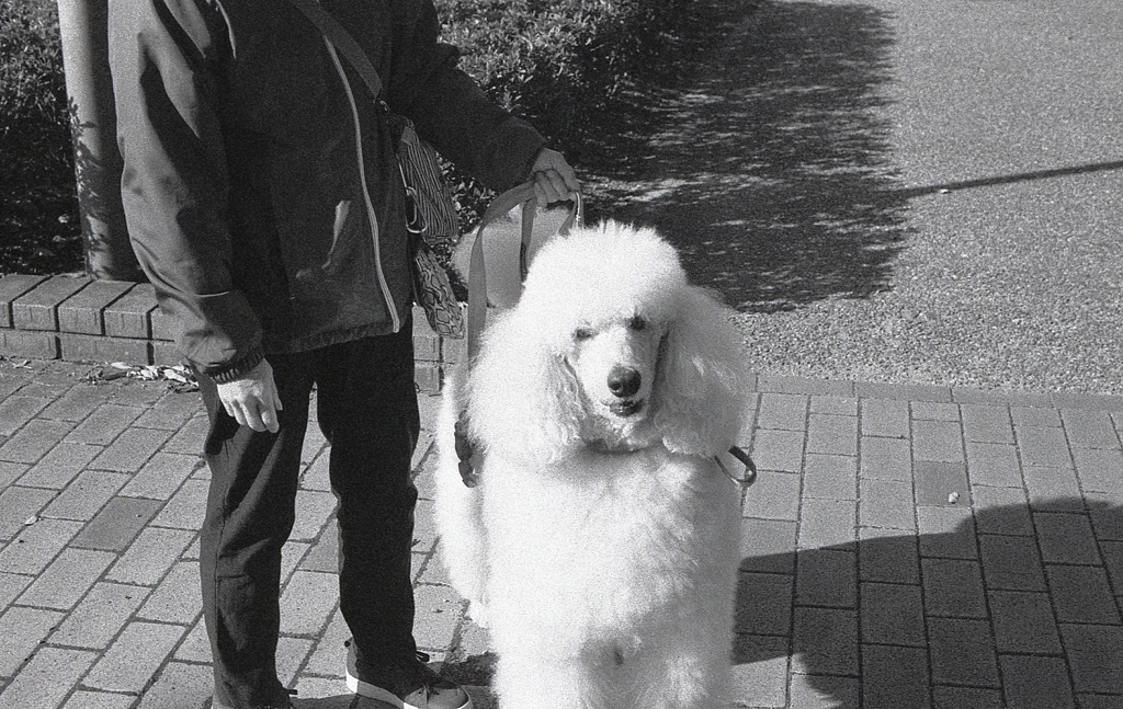 名前忘れたけど…俺が好きみたい。（笑