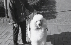 名前忘れたけど…俺が好きみたい。（笑