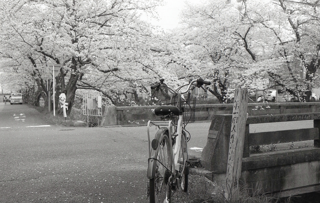 自転車に乗って…