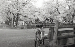 自転車に乗って…