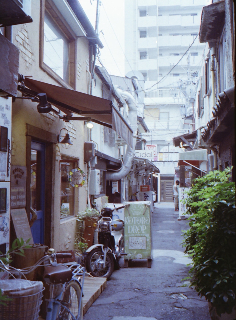 路地・夢・小路