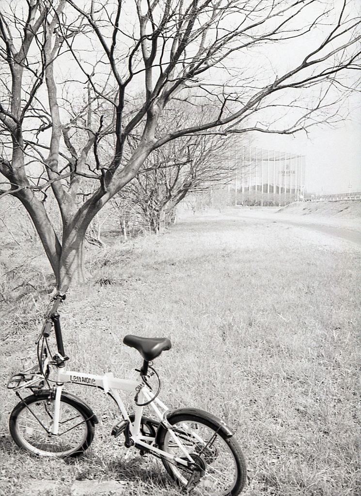 春先のLeft Aloneで…