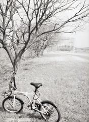 春先のLeft Aloneで…