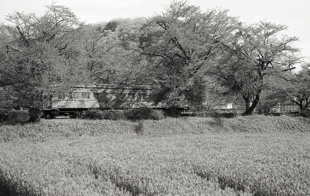 さよならオハフ５０２いつかまた…