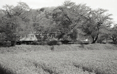 さよならオハフ５０２いつかまた…