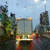 雨の土曜日