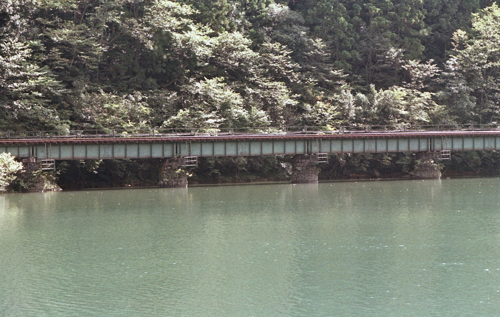 ２１０ｍｍの望遠画像