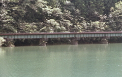 ２１０ｍｍの望遠画像