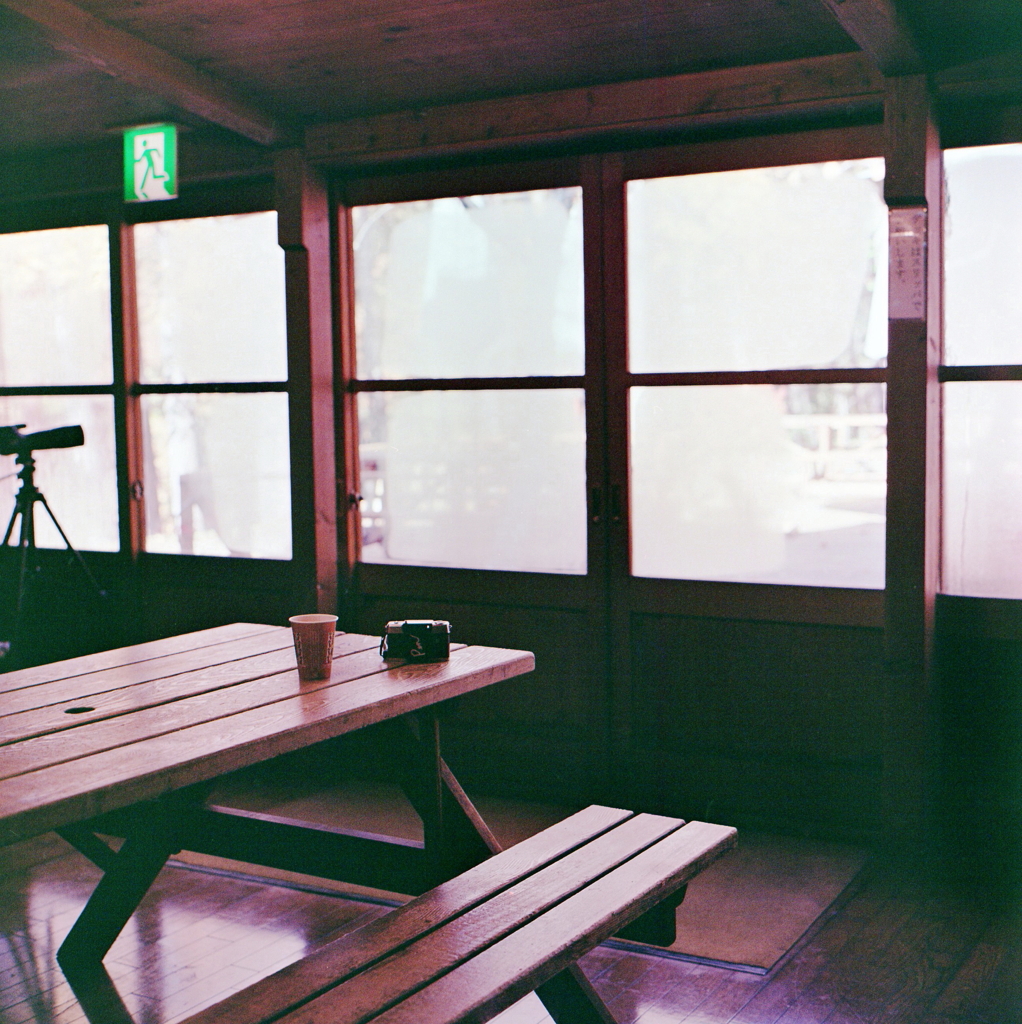 フィルム写真ってさ…