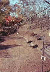 平日の朝は誰もいないね。（笑