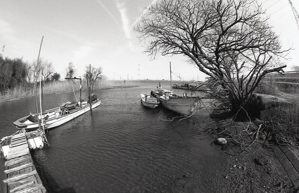 Fisheyeを鞄に詰めて…