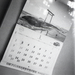 もう一年の1/12が過ぎようとしている。