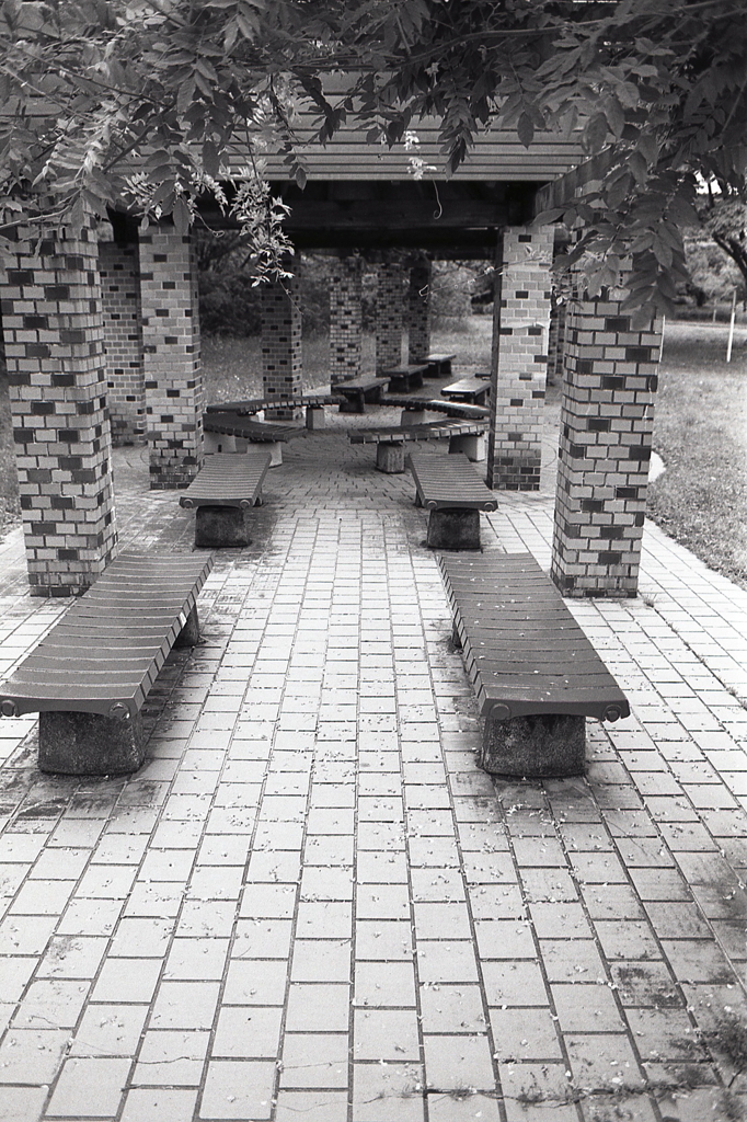 AGFA APX100のグレートーン