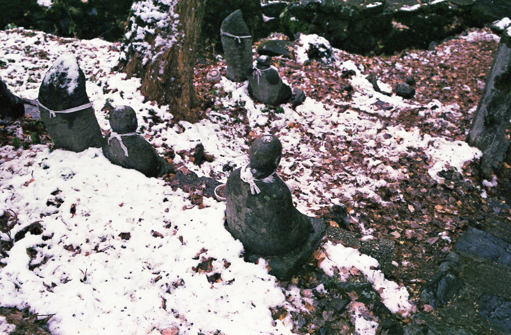 後背につもる白雪