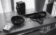 雨がつづくけど…ローライにFoma400を詰めてしまったよ。（苦笑