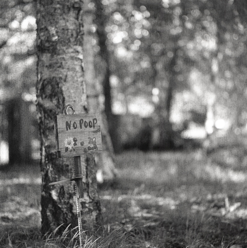 「NO POOP」